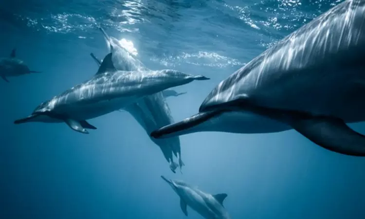 Uttar Pradesh: CM Yogi declares Dolphin as State aquatic animal