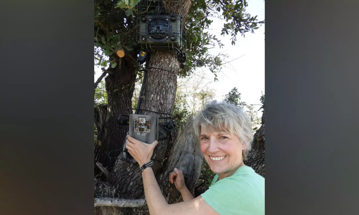 Wild Things: How animals react to scariest sound on the Savanna