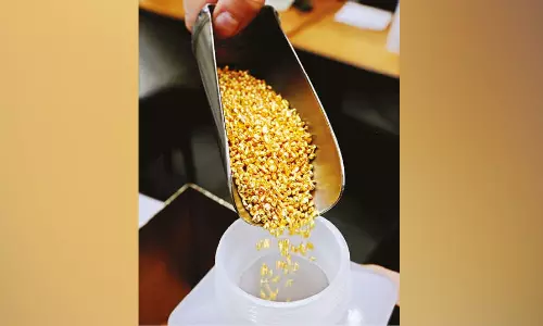 India’s first large pvt gold mine to begin full output by 2024-end