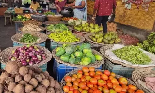 Prices of vegetables dip in city, to stabilise from next week