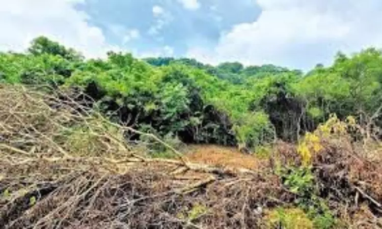 Forest dept irked by false alert on leopard