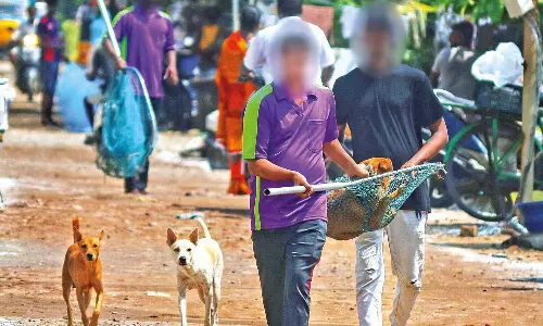 ‘Bites, scratches hurt less, people’s abuse cuts deep’