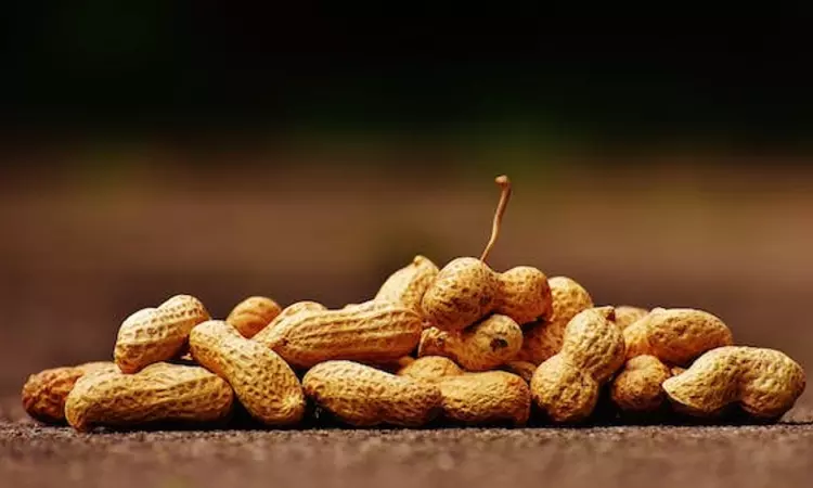 Protein therapy can be a safe approach to treat peanut-allergic toddlers: Study Protein therapy can be a safe approach to treat peanut-allergic toddlers: Study