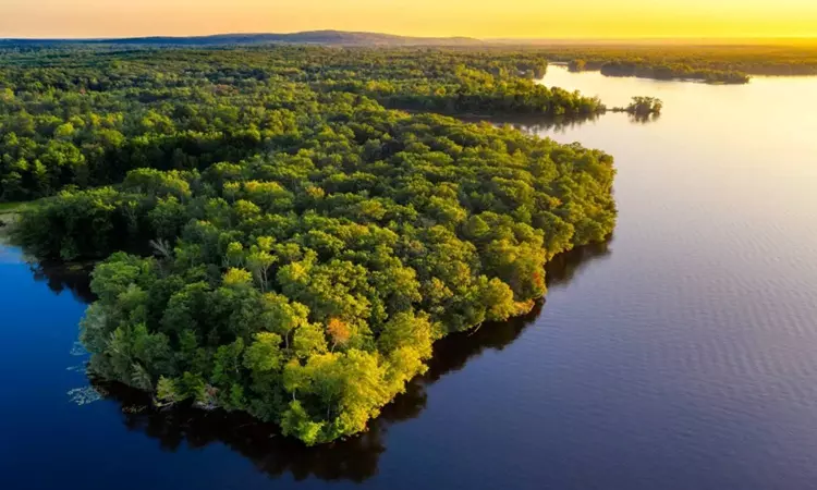 In Brazils Amazon, rivers fall to record low levels during drought