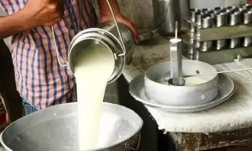 Teashops refuse to buy less fat milk: Agents