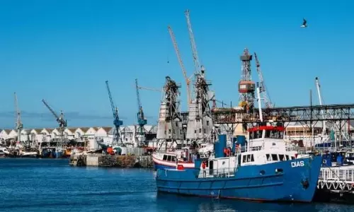 Soil transported by marine freight, laden with harmful pests and diseases: Study