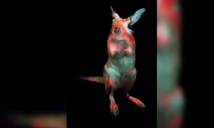 Wildlife gets lit Glowing secret that mammals have been hiding Wildlife gets lit Glowing secret that mammals have been hiding