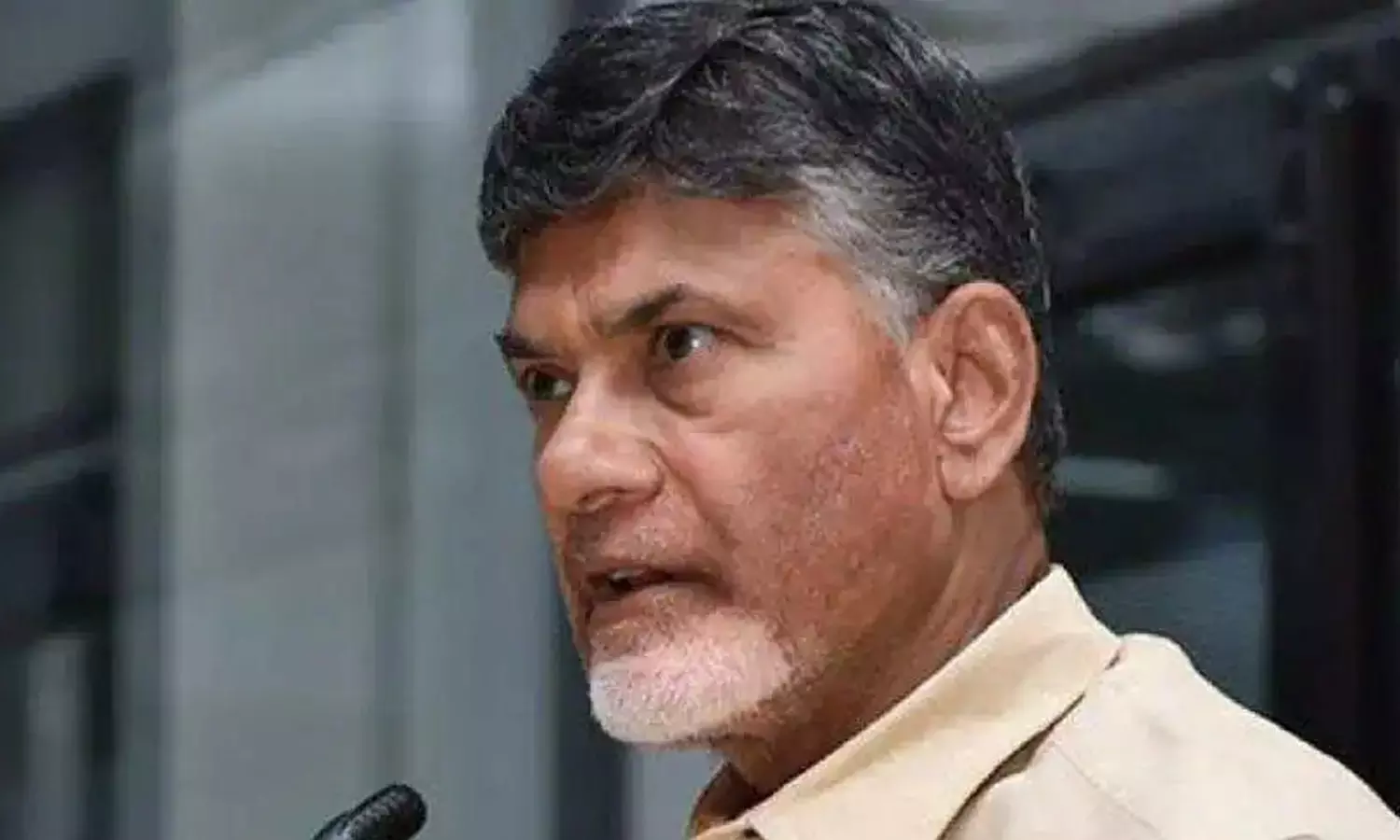 Jagan govt is looting people: TDP chief Chandrababu Naidu