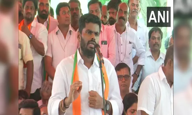 DMK should apologise: Annamalai on Tricolour insult incident outside Chepauk stadium