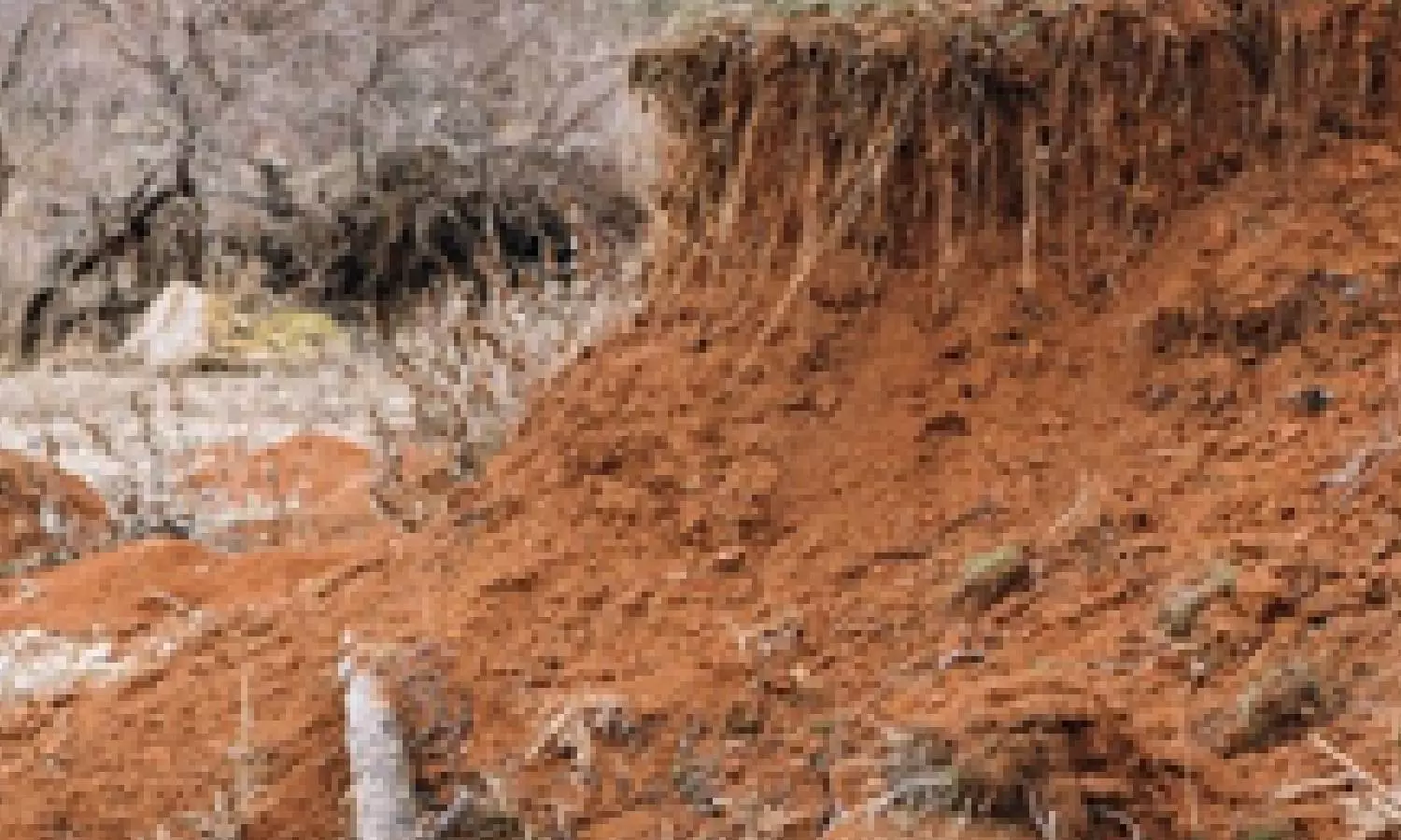 UN panel red flags rapid land degradation worldwide ahead of key meet UN panel red flags rapid land degradation worldwide ahead of key meet