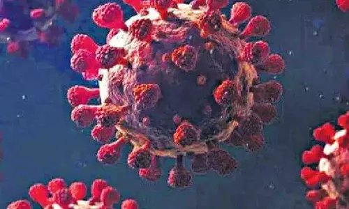 Novel model can predict evolution of new Covid variants Novel model can predict evolution of new Covid variants