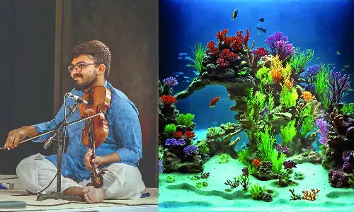 Music platform unveils artists for December music fest using AI-powered optical illusion