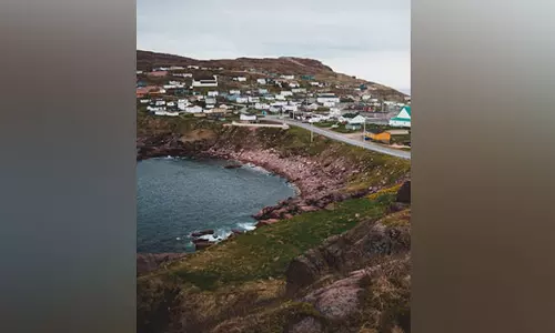 Early whaling may eradicate species from local waters: Study