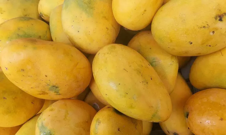 Mango export value rises 19% in April-August of current fiscal