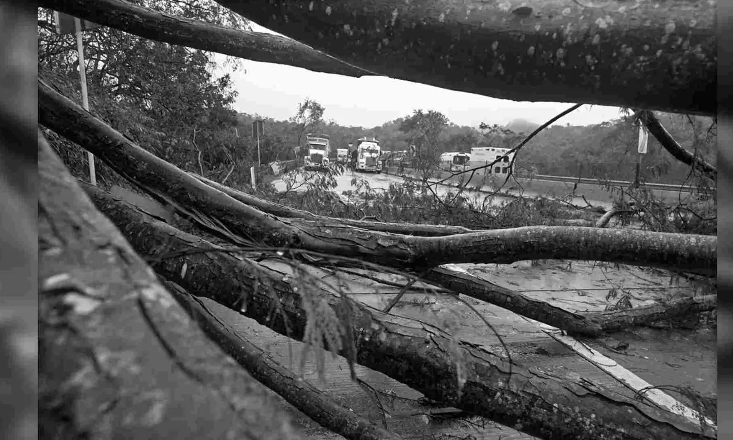 Climatic shift: The disastrous consequences of El Nino