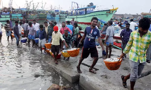 Fish prices surges due to demand in Chennai markets Fish prices surges due to demand in Chennai markets