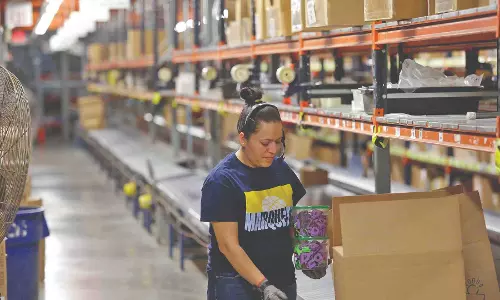 India seeks clarity in defining e-commerce at WTO