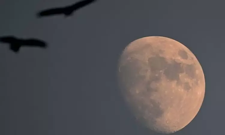 Lunar eclipse 2023: When and where to watch