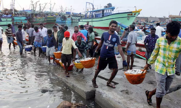 Fish prices surges due to demand in Chennai markets