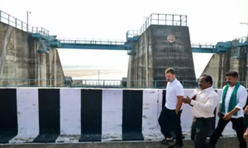 KCR, family used Kaleshwaram Lift Irrigation scheme as personal ATM: Rahul