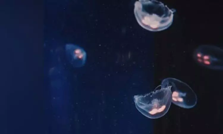 Researchers examine changes in coral microbiome under hypoxia Researchers examine changes in coral microbiome under hypoxia