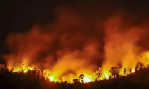 Hundreds evacuated as wildfire burns in Spain