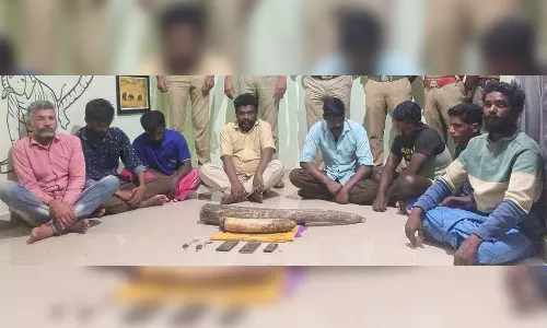 8 held for selling jumbo tusk
