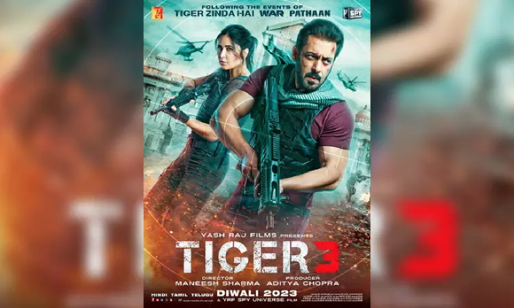 My body was sore, but I would tell myself to take it as challenge: Katrina on training for Tiger 3 My body was sore, but I would tell myself to take it as challenge: Katrina on training for Tiger 3