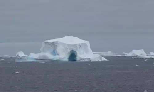 New AI model can map giant icebergs 10,000 times faster than humans: Study New AI model can map giant icebergs 10,000 times faster than humans: Study