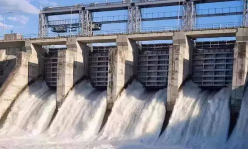 Kodayar hydel plant a threat to KMTR ecology: Centre