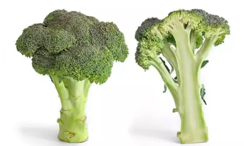 Broccoli may protect against inflammatory bowel disease Broccoli may protect against inflammatory bowel disease