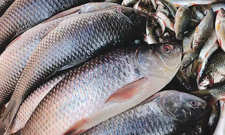 Pakistani fisherman becomes millionaire overnight after selling rare fish Pakistani fisherman becomes millionaire overnight after selling rare fish