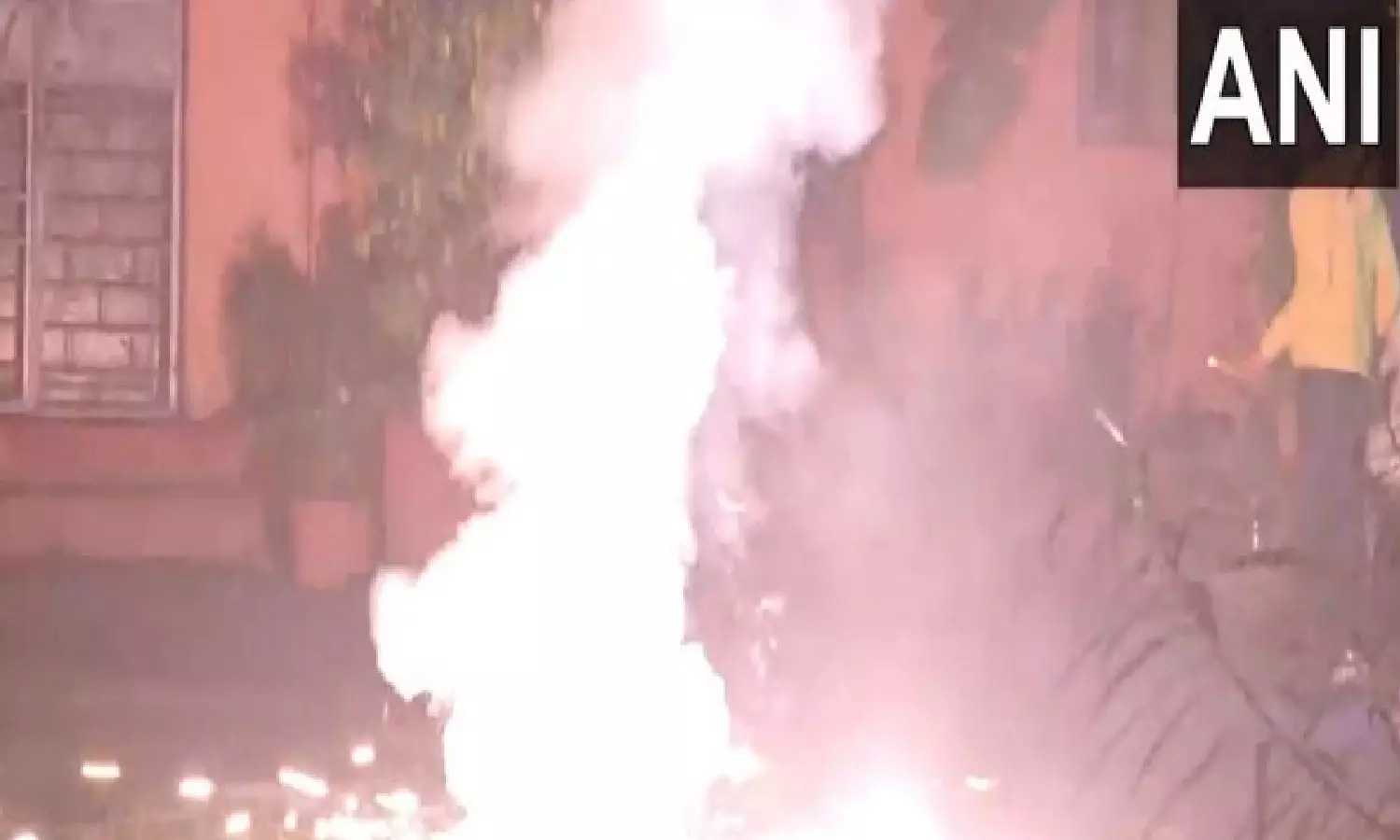 Despite ban, revellers light up, burst crackers in Delhi on Diwali night