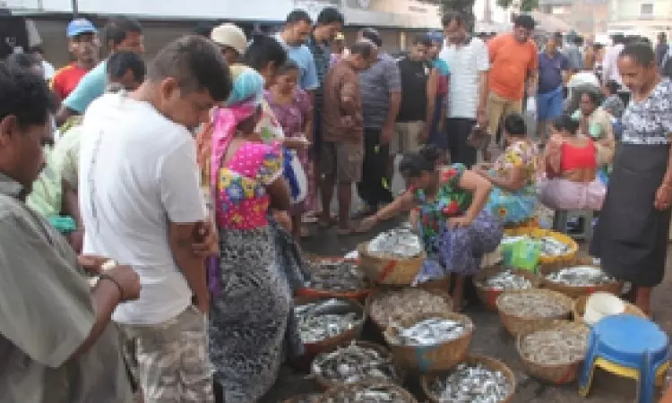 Goa minister urges fish selling agents to lodge complaint against ‘protection money’ demand