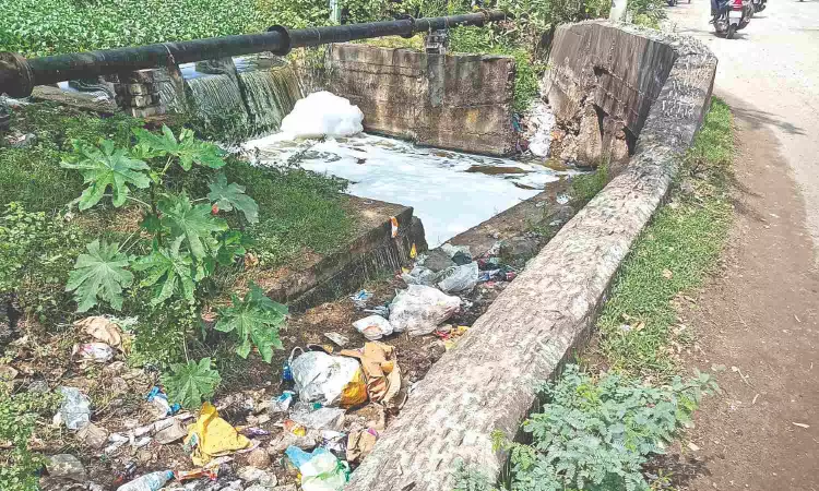 The unbearable stench of Putheri lake