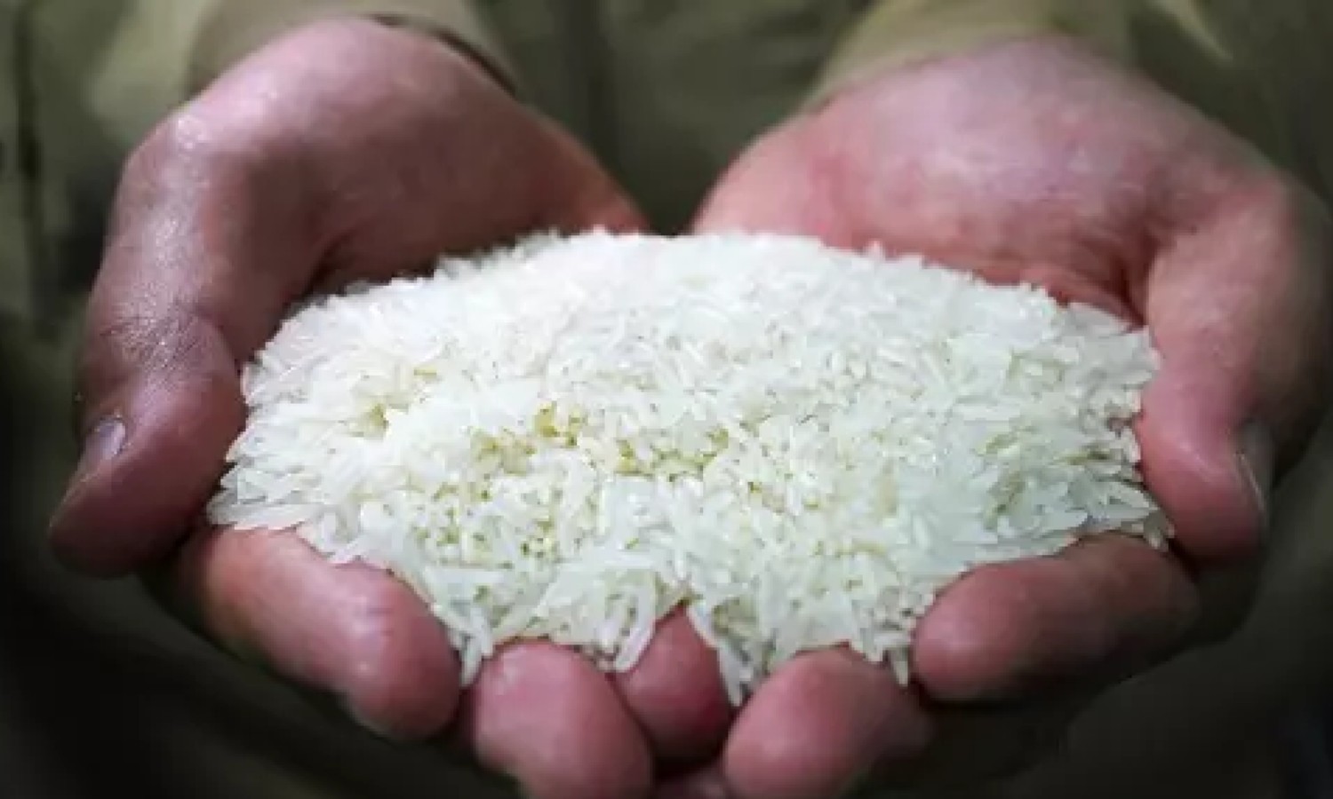 3,474 quintals of PDS rice seized; CID arrests 842 people in connection ...