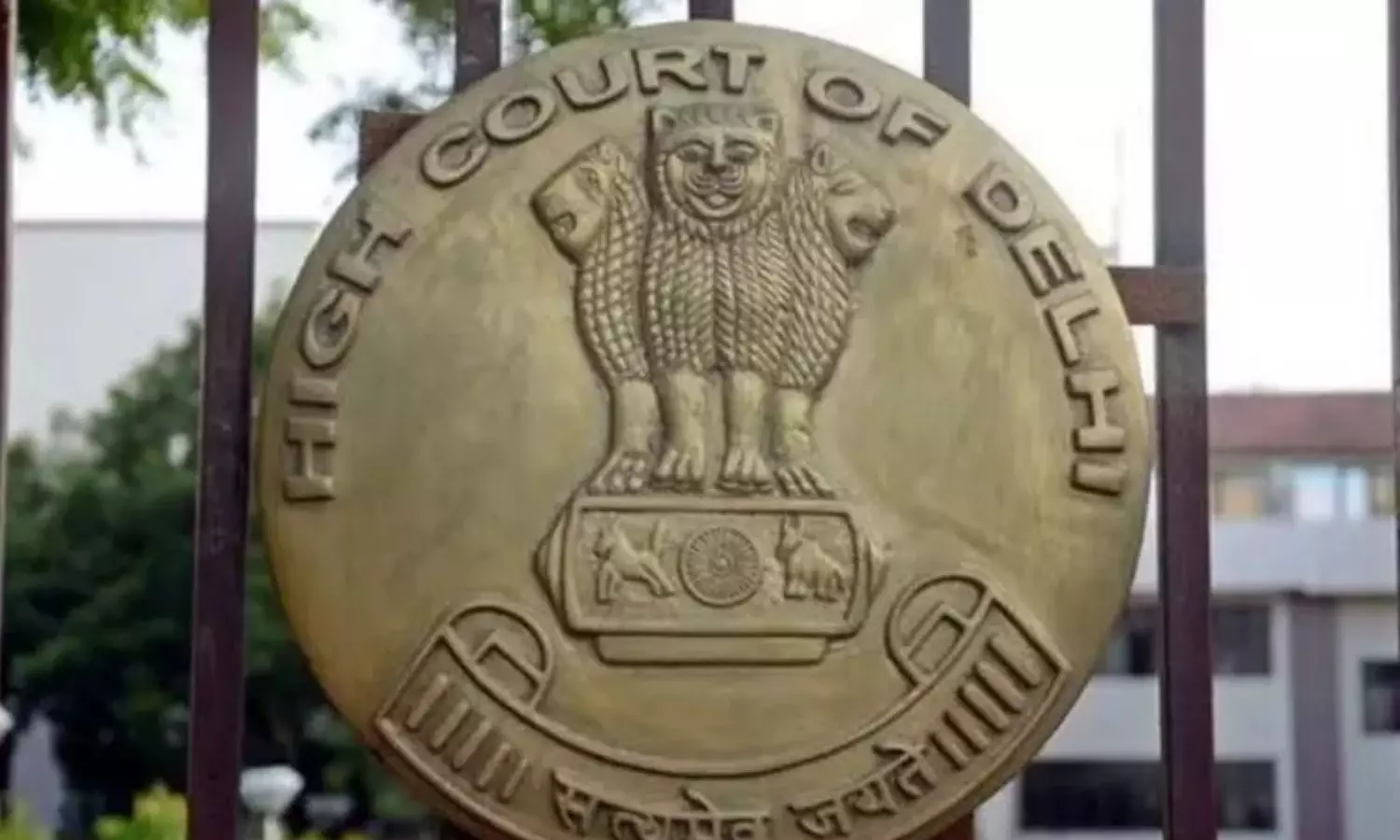 Delhi HC directs Centre to frame policy on online sale of drugs within 8 weeks Delhi HC directs Centre to frame policy on online sale of drugs within 8 weeks