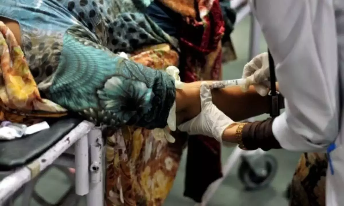 New single-dose chikungunya vax to revolutionise global health: Report New single-dose chikungunya vax to revolutionise global health: Report