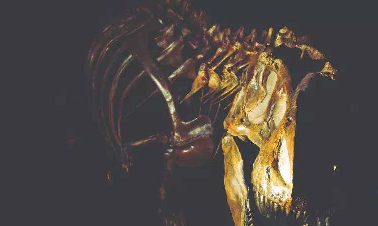 How the T rex built up that bone-crushing bite
