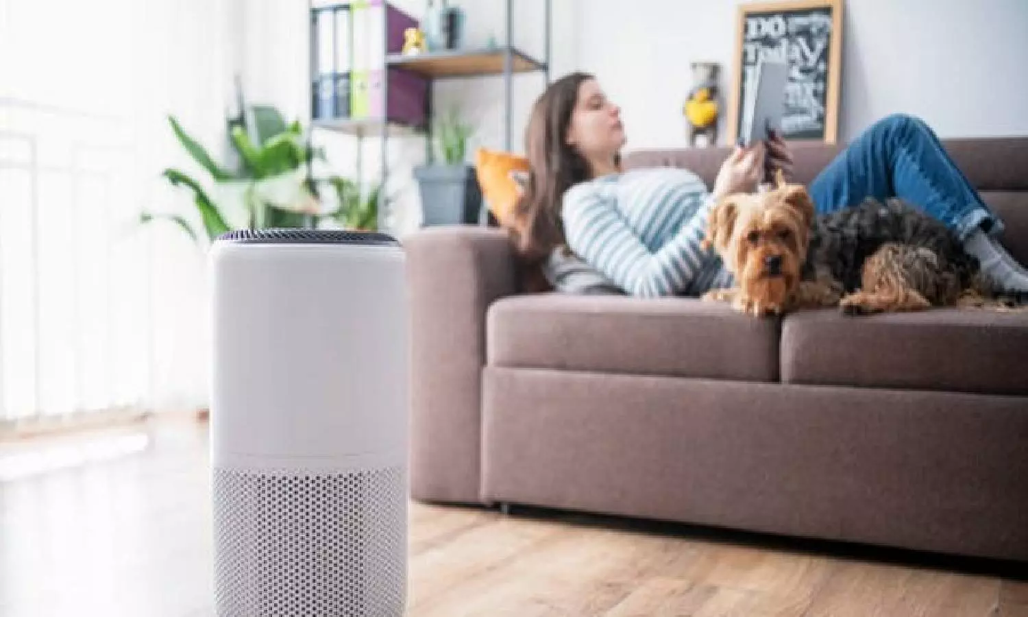 Research shows air cleaners dont stop you getting sick
