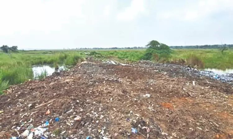 WRD inspected the Thenneri Lake on Thursday