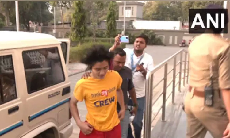 WC Final: Spectator who breached security to meet Kohli detained by police
