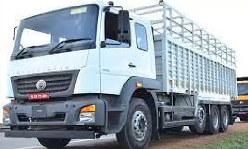 Commercial vehicle biz on growth track with expanding economy: VECV MD