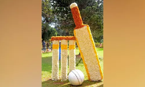 ICC bans participation of transgenders, those with sex-change surgery in womens cricket