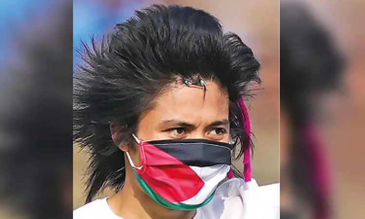 Gujarat court grants bail to WC final pitch intruder