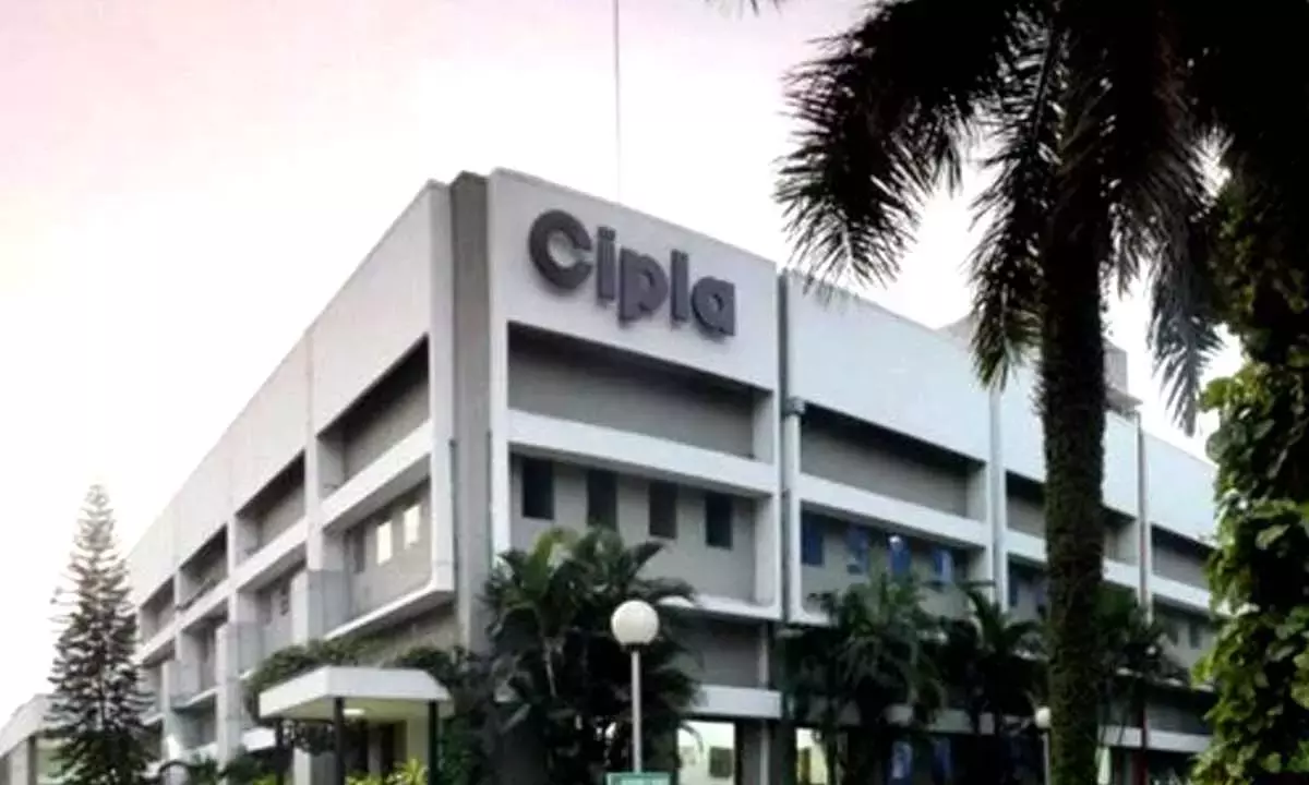 Cipla top loser in Nifty as US FDA issues warning letter Cipla top loser in Nifty as US FDA issues warning letter