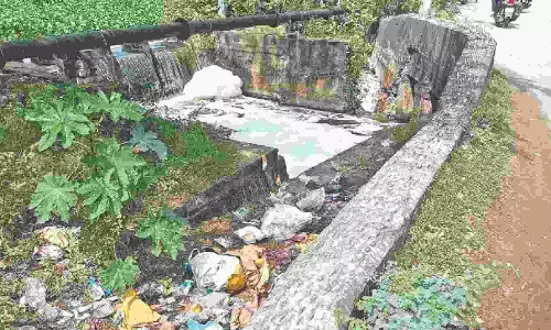 Putheri Lake in Pallavaram gets polluted as chemical wastes get mixed