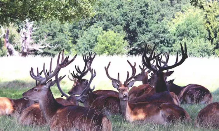 Temperature extremes influence distribution of species: Study