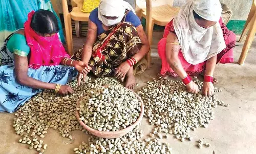 India’s cashew nuts head for US, B’desh, Qatar as new markets open