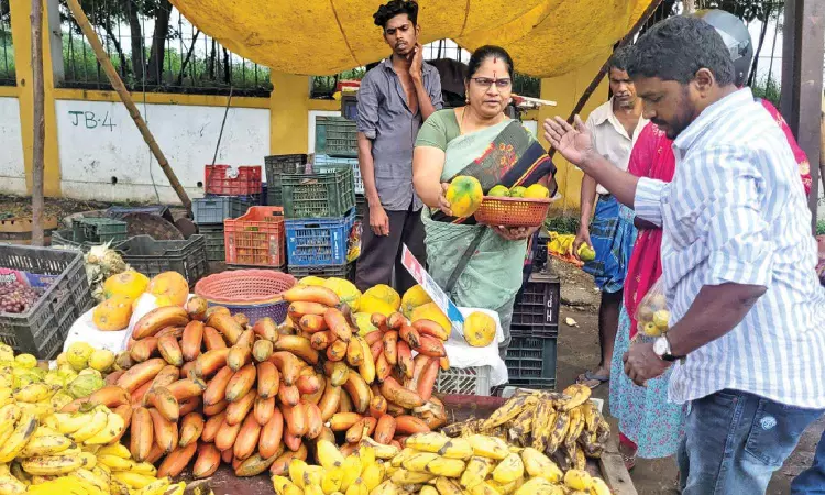 Indias fresh fruit exports surge 29%, footprint spreads to 111 countries